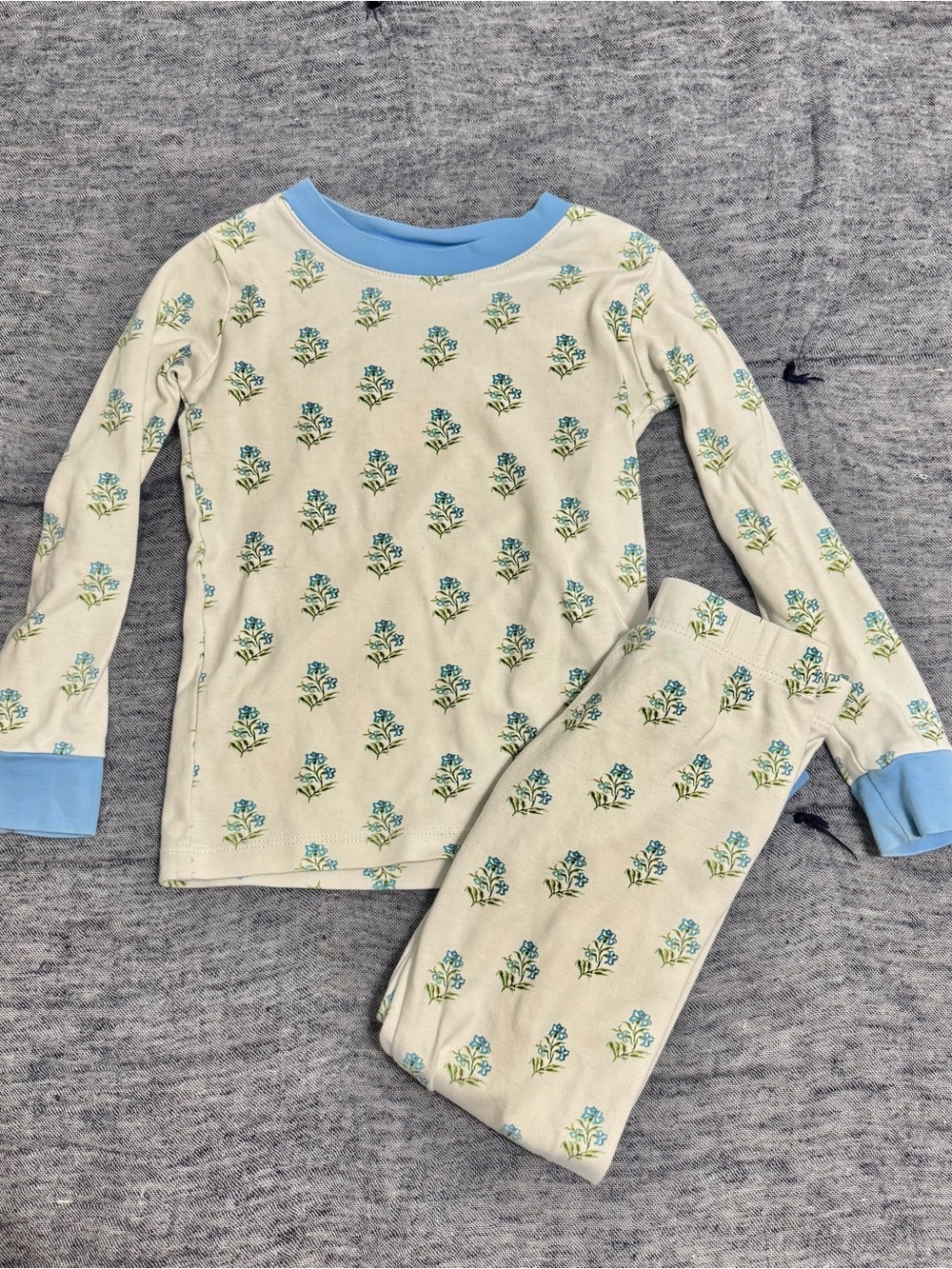 LAKE Kids Blue Floral Pima Cotton Pajama Set Size 4